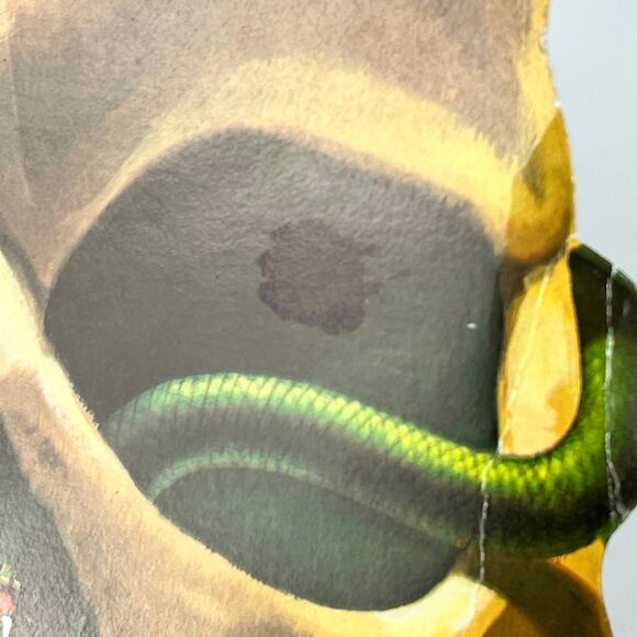 Vintage Halloween Skull Die Cut Decoration Bat Snake Frog 16"x13" Double Sided - Picture 10 of 13